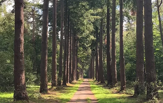 Geldersch landschap