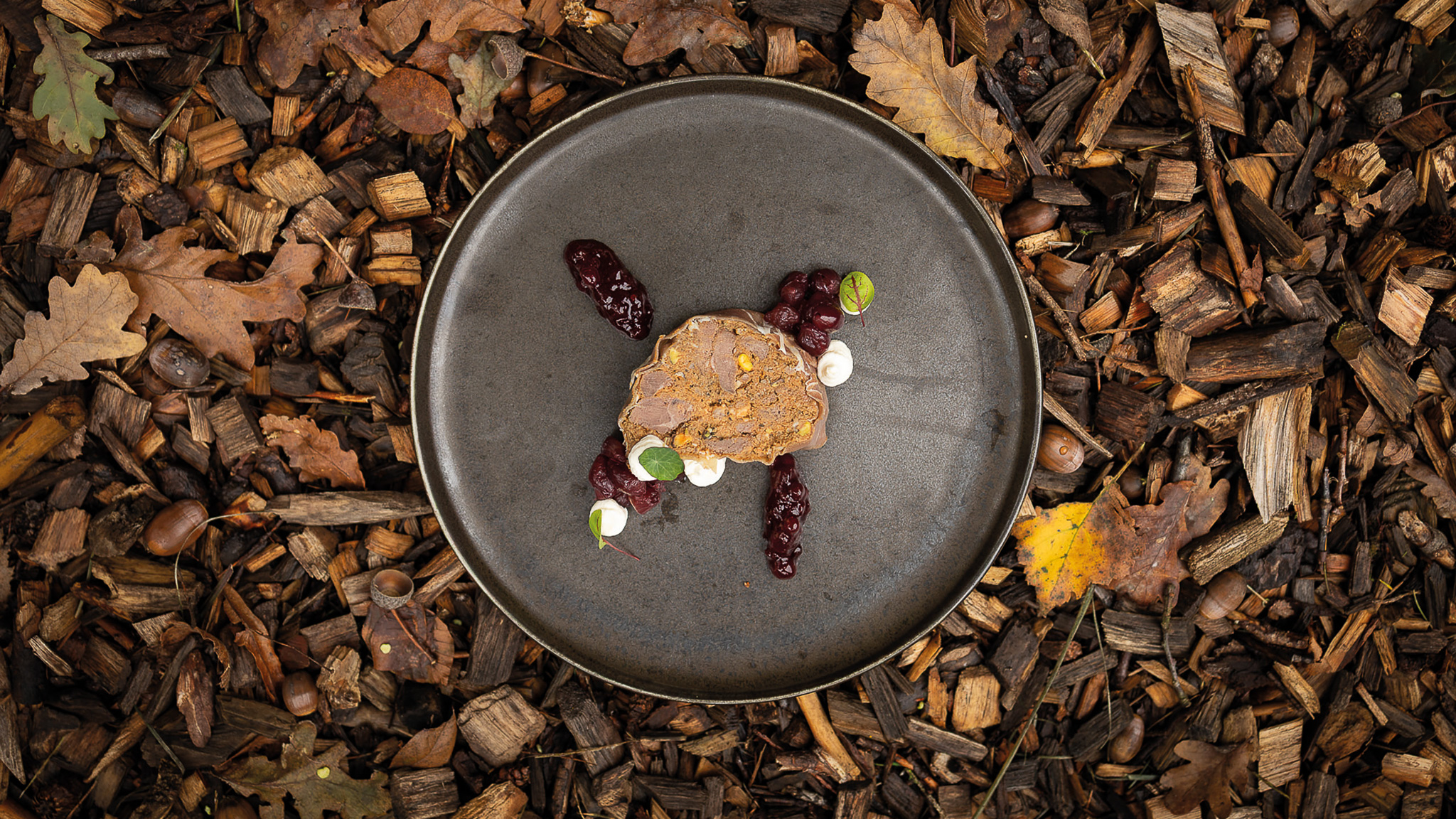 opgemaakt bord met wildpate gerecht in herfstbladeren